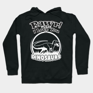Rawr Means I Love You In Dinosaur, I Love You Design Hoodie